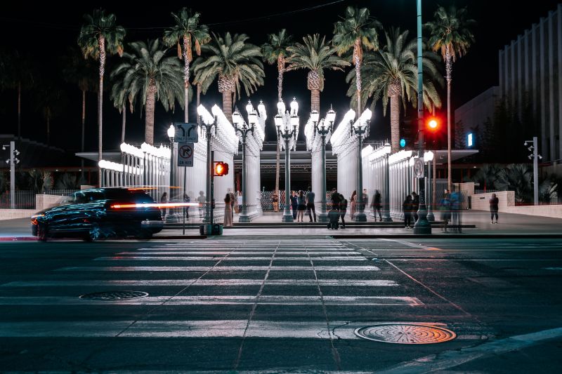 Wet Florida boulevard lined with palm trees at night, similar to the road where the John Graziano Nick Hogan accident happened.